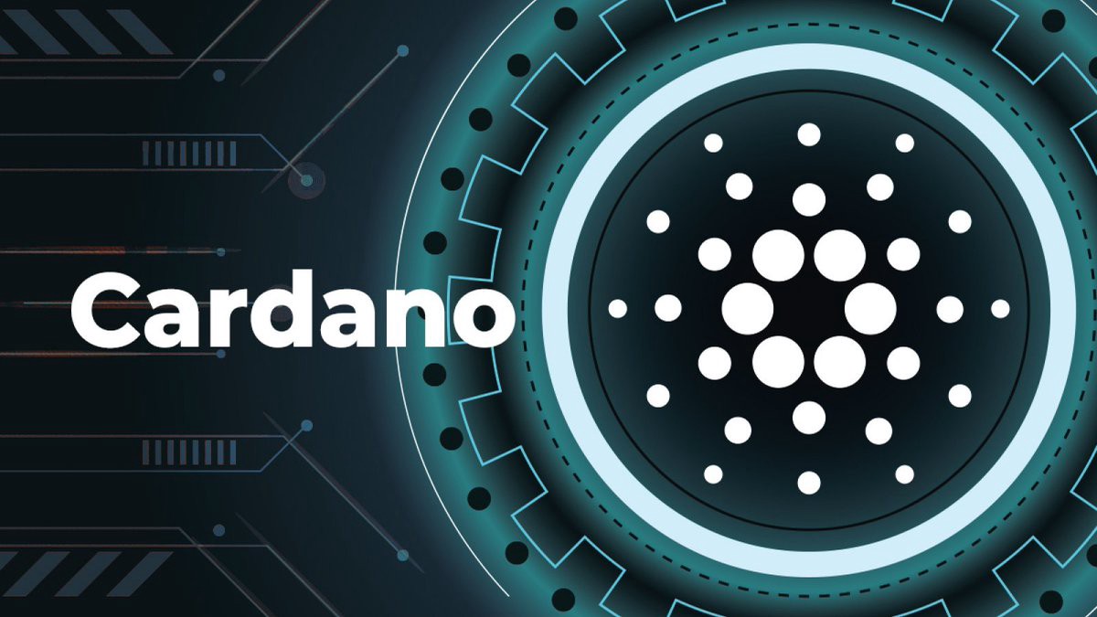 Cardano