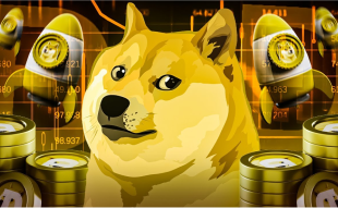 Investor Seek Opportunities as Dogecoin Price Fall
