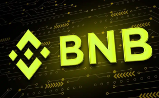 BNB crypto