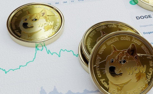 DOGE Started It All, Now This Top Crypto Gainer Is Finishing The Job