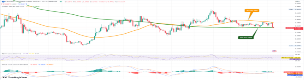 Cardano’s Heartstopping Moment - Did You Miss It?