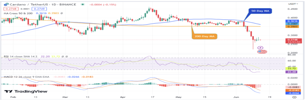 ADA's Fate After Input Output Responds to SEC's Allegations: What's the Outlook for Cardano?