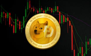 DogeCoin: The Enigma Unleashed