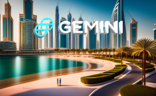 Gemini to Seek UAE Crypto License: Winklevoss Twins'