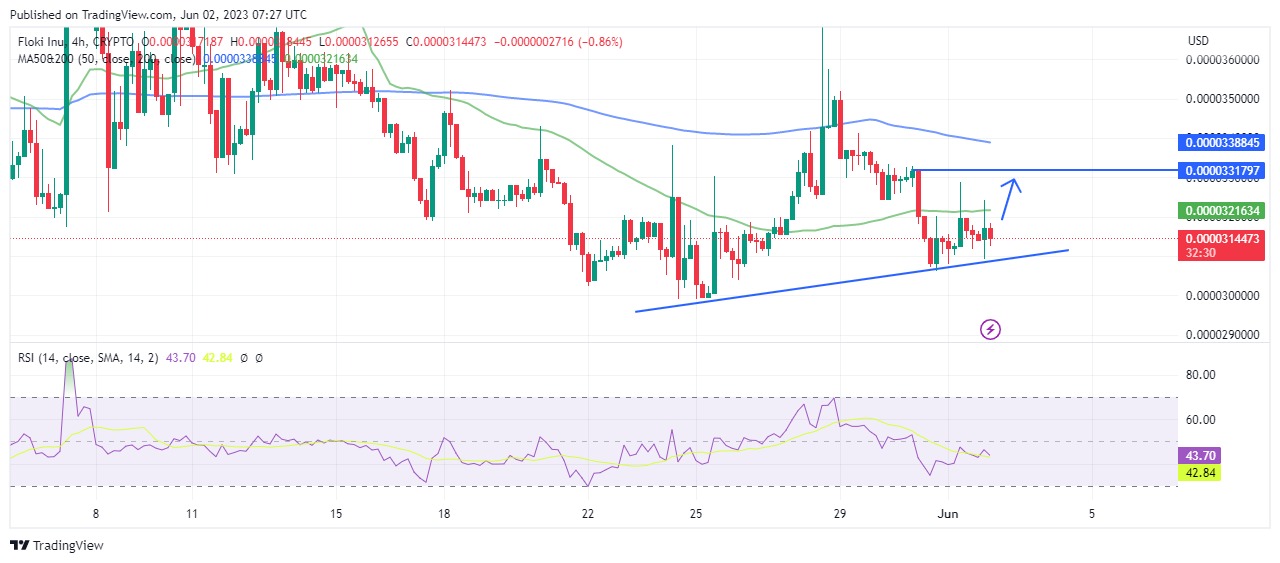 Floki Price Prediction - Price chart according to trading view 6/2/23