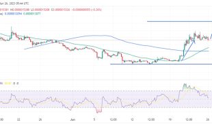 Pepe coin price chart. Trading view6/26/2023