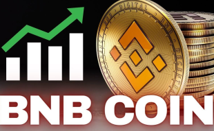 Will BNB Price Reach the Moon and Make Elon Musk Jealous