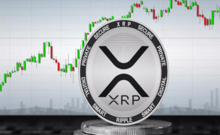 Ripple token XRP surged after the court ruling.