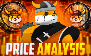 Floki-Inu-Price-Prediction-And-Price-Analysis