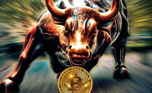 bitcoin bulls