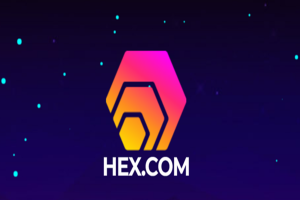 Crypto Spotlight: Will Unnamed Coin HEX Dominate the Market? Price Forecast