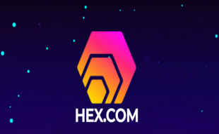 Crypto Spotlight: Will Unnamed Coin HEX Dominate the Market? Price Forecast