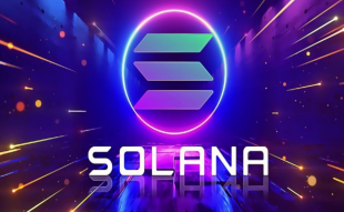 Solana Soars 16%. Five More Coins You Should Consider
