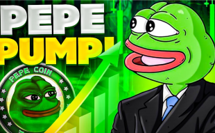 Pepe-Explodes-As-Bitcoin-Breaks-30,000