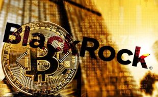 Blackrock's spot Bitcoin ETF