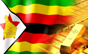 Zimbabwe's Gold-Backed Digital Token: Insufficient to Address Country's Currency Challenges, Experts Explain