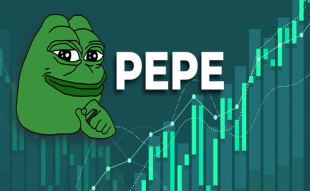 Pepe Coin Skyrockets by 66% in a Month: Is $100 Enough to Make You a Millionaire? Exploring the Potential of an Alternative Crypto Gem 