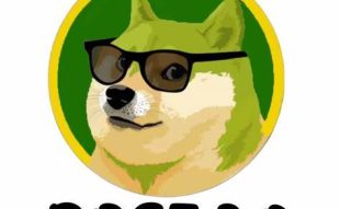 Doge3.0