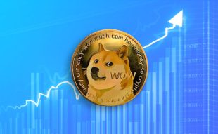 Dogecoin Price Prediction: DOGE Tumbles to $0.0637 – Is It More Than Just a Meme?
