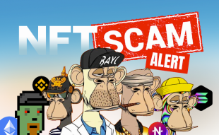 NFT-Scam-image
