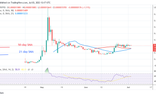 Pepe Price Prediction for Today July 3: PEPE Is Still Stable as It Continues to Consolidate