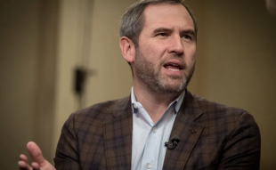 Ripple CEO Garlinghouse Lashes Out at SEC