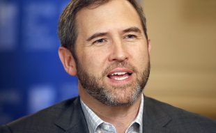 Ripple CEO and Crypto Community Speculate on SEC Appeal Amid Legal Confusion