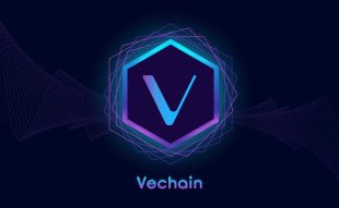 VeChain 1