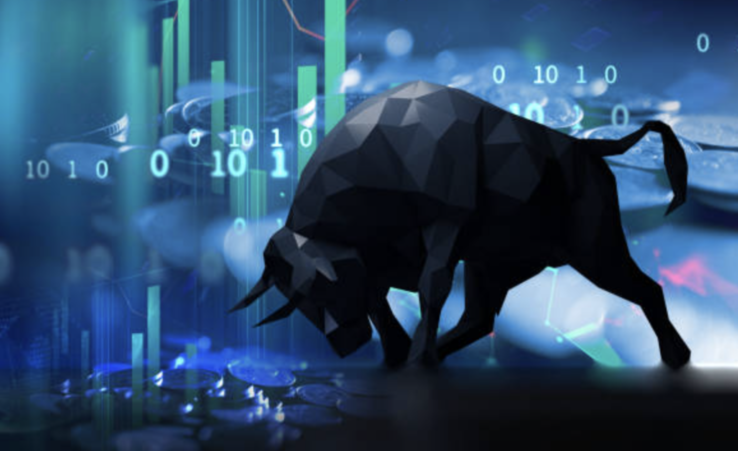 What is Crypto Bull Run?