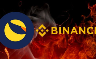 Binance Executes 11th LUNC Burn, Eliminating 2.65B Tokens