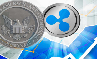SEC's DASH and XRP Security Status: Pro-Ripple Lawyer Points to Uncertainty