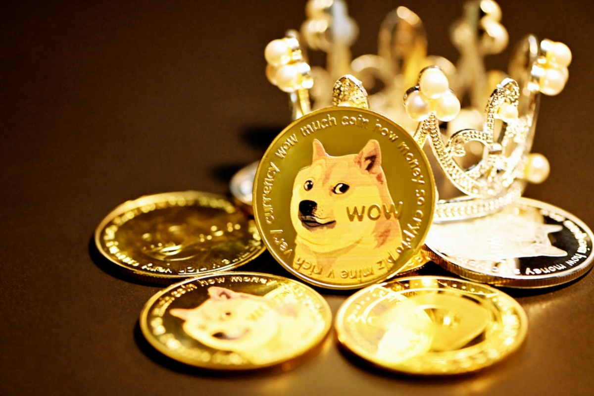 Dogecoin Price Prediction: DOGE Drops 4% As Investors Rush To Buy This Chain-Hopping Meme Coin With Time Running Out