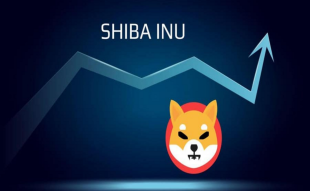 Shiba Inu Coin Is Victim Of Its Own Success While Wall Street Memes Thunders Towards $13 Million In Presale