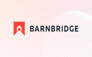 BarnBridge Trading Volume Halves as Coin's Attraction Wanes. Experts Are Shifting to This Meme Coin