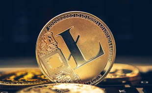 How ChatGPT Views the Dwindling Price of Litecoin