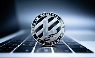 Analyzing the Impact of LTC Halving: Bullish Rally Eludes, Can Bulls Overcome the Dip?