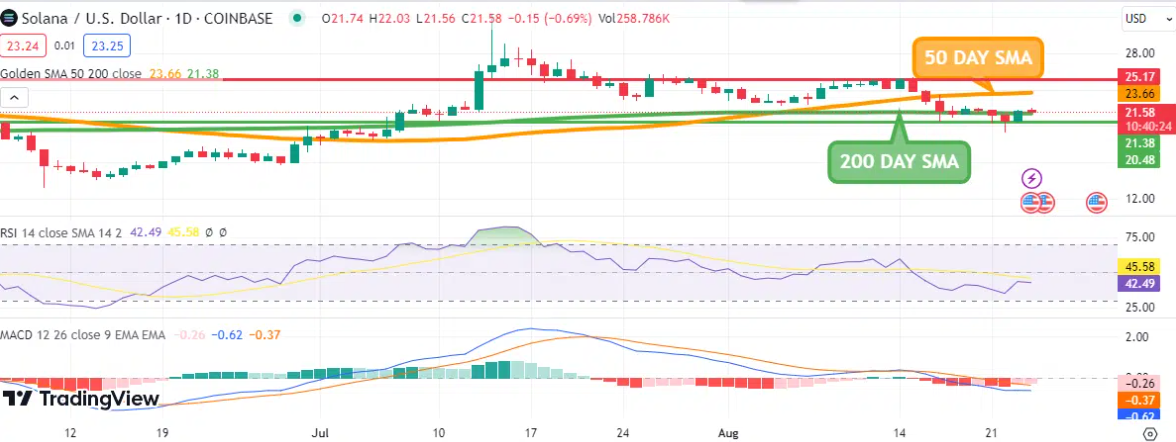 Surging Crypto Stars: August 24's Leading Gainers - SOL, FXS, and IMX