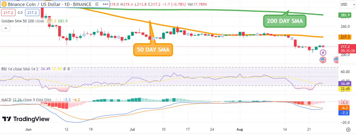 Surging Ahead: August 25 Crypto Winners - BONE, BNB, and SHIB Take the Lead