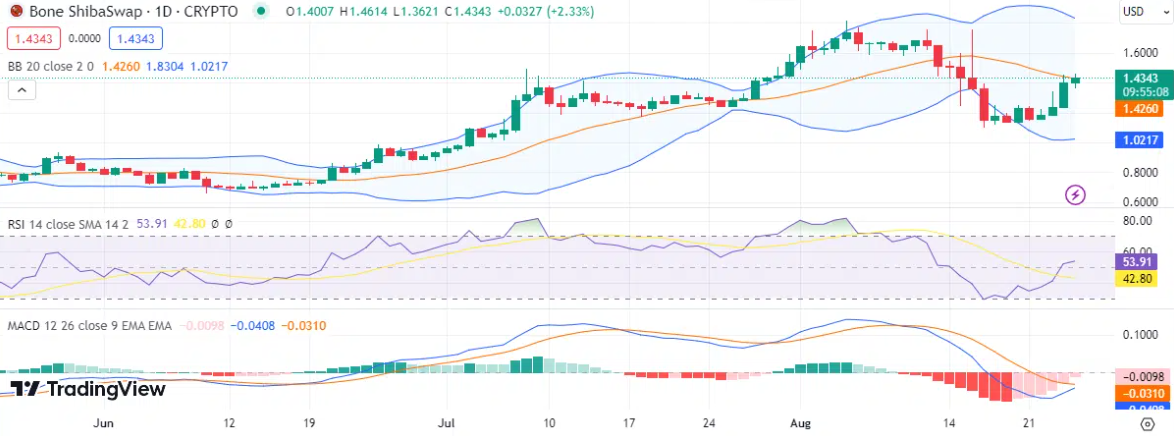 Surging Ahead: August 25 Crypto Winners - BONE, BNB, and SHIB Take the Lead