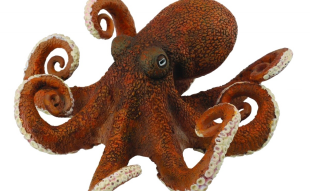 Paul the Octopus PAUL