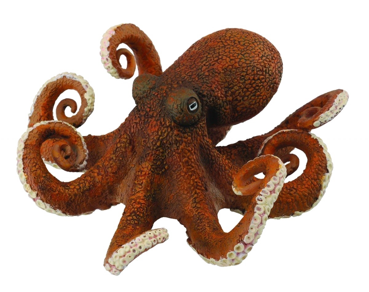 Paul the Octopus PAUL