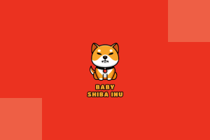 BABYSHIB