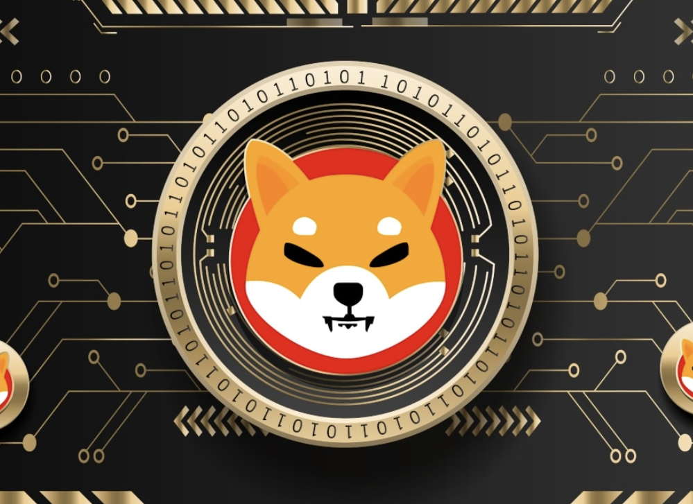 SHIB Shrinks 5% – Will This Doge Rival Underperform the Market?