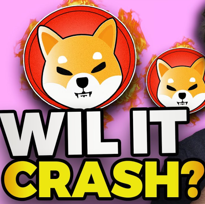After Recent Rally, Is Shiba Inu Coin About To Crash While XRP20 Gains Traction?