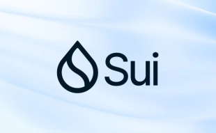 SUI logo
