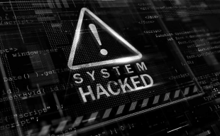Zunami Protocol Loses $2.1 million Due to Exploit