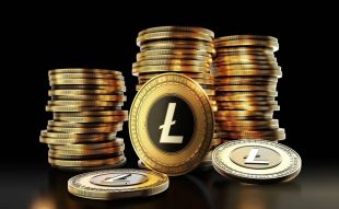 Litecoin (LTC) Price Prediction: Will It Soar Or Crash? A Case For Considering Chimpzee