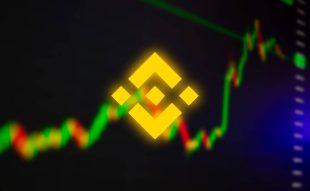 BNB Coin Price Prediction: Is a Surge Likely or Will Shibie Coin Steal the Spotlight?