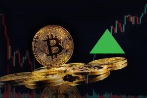 Top Crypto Gainers on August 3 - MKR, STX, INJ, And BONE