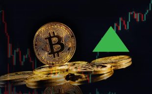 Top Crypto Gainers on August 3 - MKR, STX, INJ, And BONE